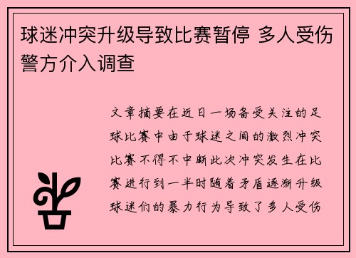 球迷冲突升级导致比赛暂停 多人受伤警方介入调查